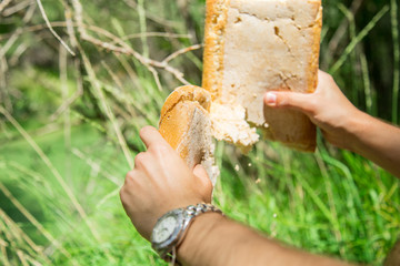 Hands of man breaking slice of bread from loaf in the forest. 