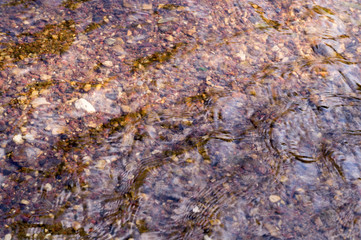 texture of water in shallow river with sandy bottom. background, nature.