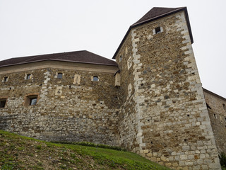 Fototapeta na wymiar Castello di Lubiana