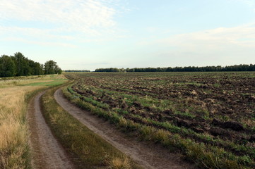 Fototapeta na wymiar The plowed field. Altai region.