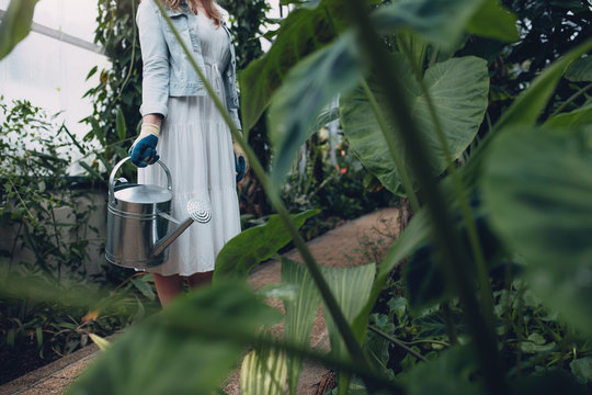 Woman with watering can in greenhouse