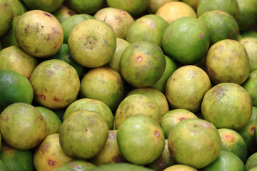 lime fruit texture