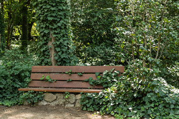 Gardens of the Campo del Moro, in Madrid