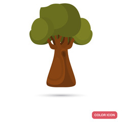Oak tree color flat icon for web and mobile design