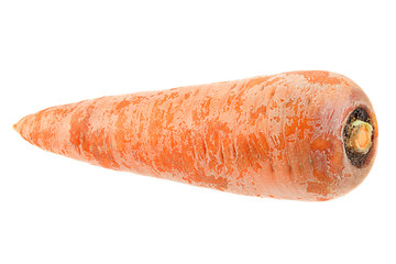 Ripe carrot on white background