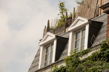 jardin sur terrasse en toiture