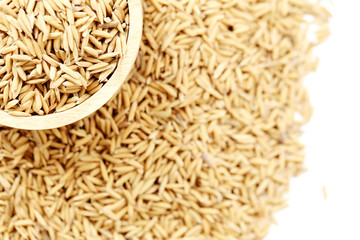 Brown paddy rice closed up