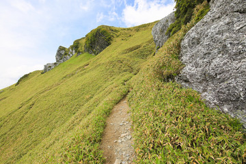 徳島県三好市　三嶺　遊歩道からの風景