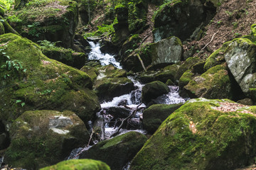Forest waterfall , deep in forests of mountain Cemernik