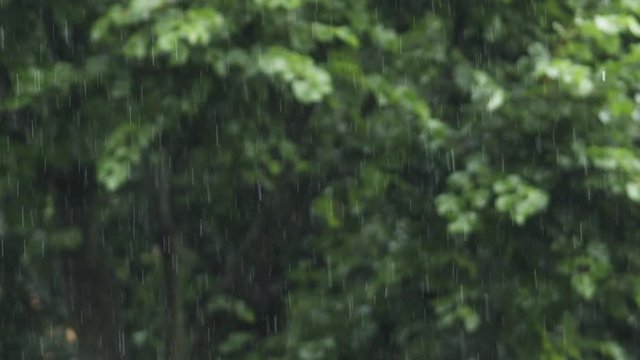 Slow motion handheld shot of heavy rain with blurred background