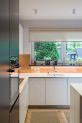 Kitchen in the house. Modern interior. Domestic things.