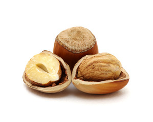 Closeup of hazelnuts