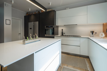 Kitchen in the house. Modern interior. Domestic things.
