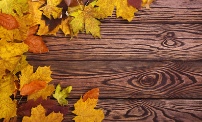  autumn leaves on background