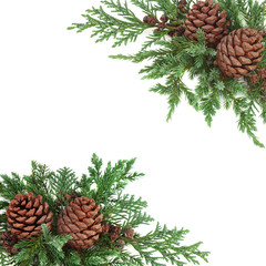Background winter greenery border of cedar cypress and juniper leaf sprigs with pine cones on white...