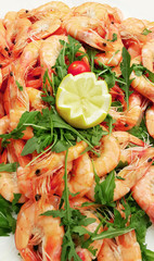 pink small shrimps close up