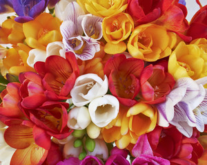 colorful freesia flowers bunch top view, natural background