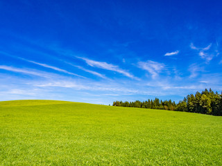 Obraz premium Green field and blue sky in the foothill of Bavarian Alps