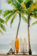 Planche de surf et palmier sur fond de plage.