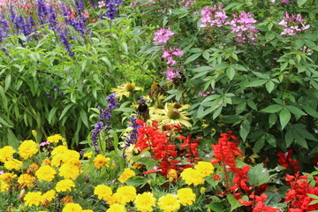 Summer Garden, Ziergarten im Sommer