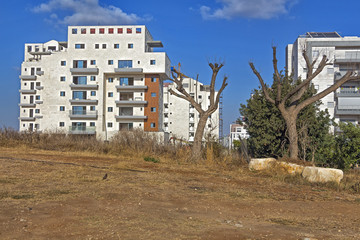 Construction of a residential area.