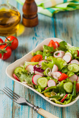 Fresh salad with radish, cucumber, colorful cherry tomatoes. Best for bbq.