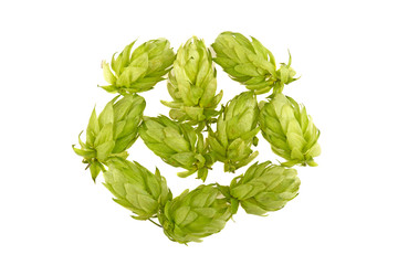 a bunch of hops on a white background