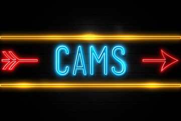 Cams  - fluorescent Neon Sign on brickwall Front view