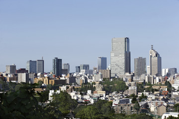 Fototapeta premium 仙台市全景