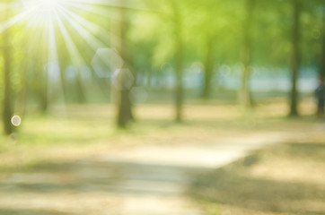 Blur nature green park with sun light abstract background. - obrazy, fototapety, plakaty
