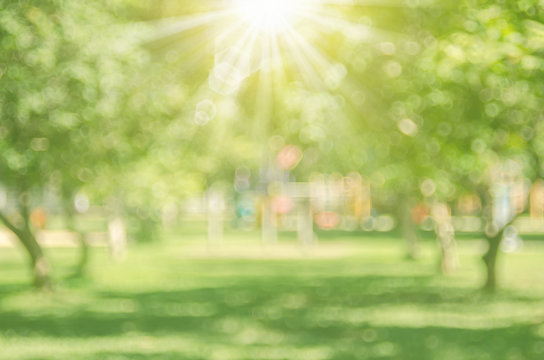 Blur nature green park with sun light abstract background.