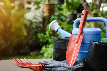 Tools on planting on wood table and farm work
