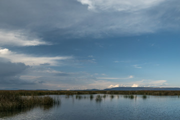Schilf bei Uros im Titicaca-See