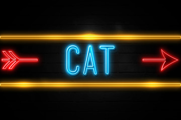 Obraz premium Cat - fluorescent Neon Sign on brickwall Front view