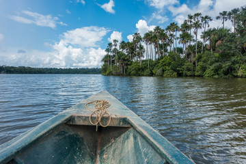 Fototapeta na wymiar Boot unterwegs auf dem Lago Sandoval, Peruanischer Amazonas
