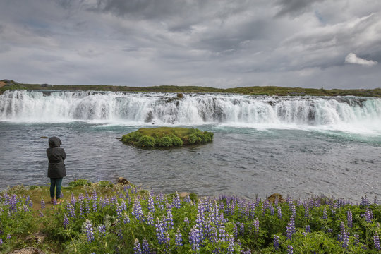 Faxi falls Iceland
