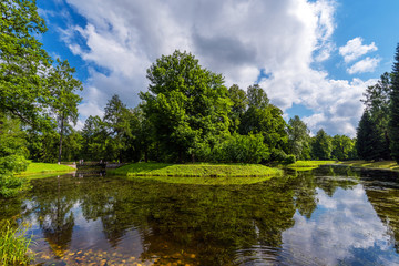 Overgrown pond in the park, surrounded by trees