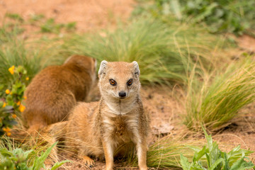 At the Zoo in Nürnberg (Germany)