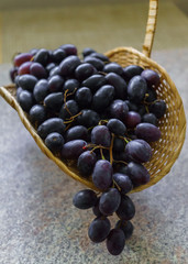 Clusters of fresh sweet dark grapes lying in a basket on a table.