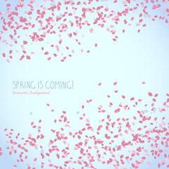 Text card made from falling sakura petals. Spring is coming. Scatter. Floral background with copy space. Cherry blossom viewing. Spring poster. Hanami. Japanese Culture. Text frame.