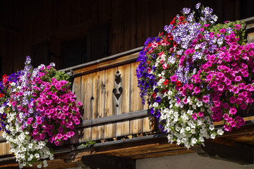 Fototapeta na wymiar Balcony flowers on a house in Kochel, Bavaria