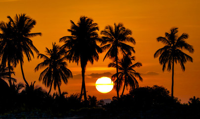 Beautiful Sunset View amidst mountains and silhouette of coconut trees