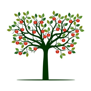 Green Tree with red Apples. Vector Illustration.