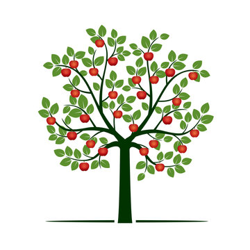 Green Tree with red Apples. Vector Illustration.