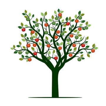 Color Tree with Leaves and Apples. Vector Illustration.