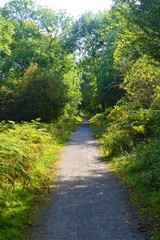 Fototapeta na wymiar A nature trail in the English Peak District, 