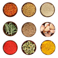 Set of various spices isolated on white.