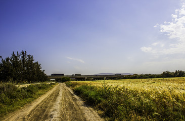 trucks and cars in the bridge blue sky summer yellow spikes 