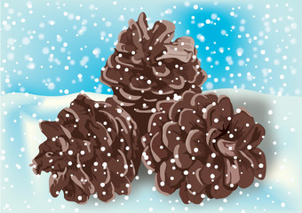 pine cones in the snow