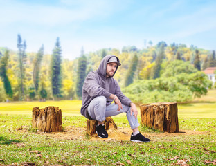Naklejka na ściany i meble Rapper sitting on a stump, forest on background